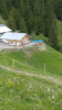 Hirsch -Alpe Juni 2024 Hirsch -Alpe Juni 2024